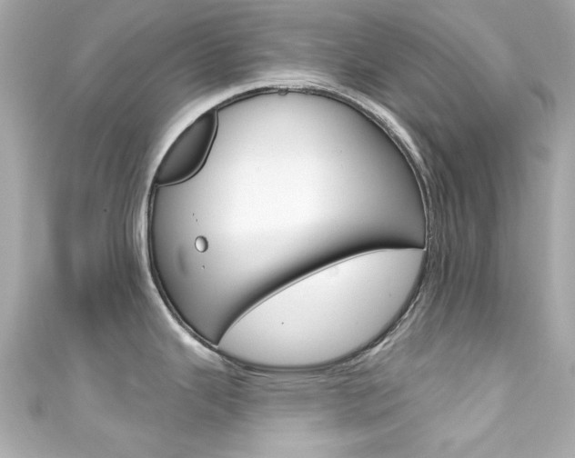X0000111591343200907161145