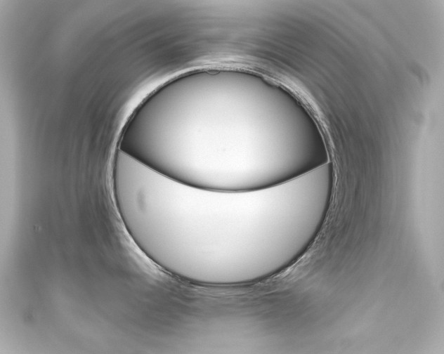 X0000111591344200907161145