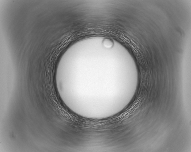 X0000111591345200907161145