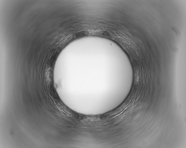 X0000111591346200907161145