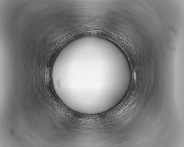 X0000111591347200907161145