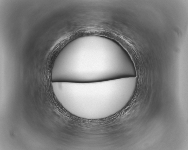 X0000111591351200907161144