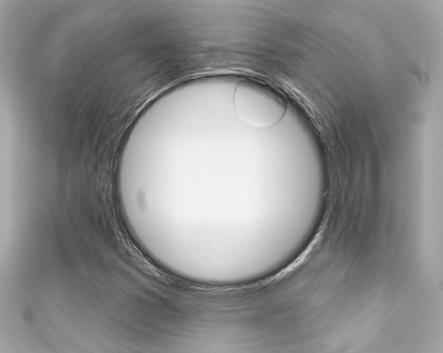 X0000111591353200907161144