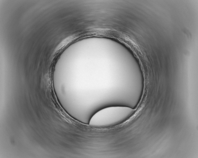 X0000111591354200907161144