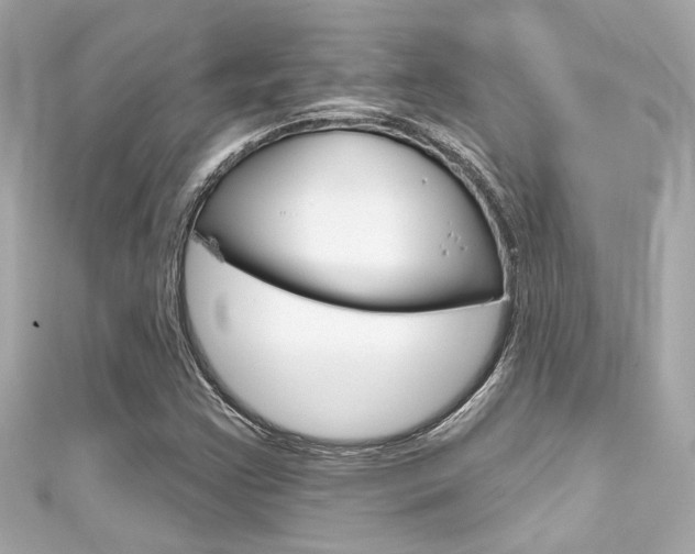 X0000111591355200907161144
