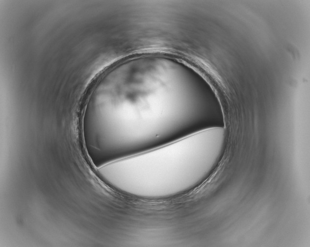X0000111591356200907161144