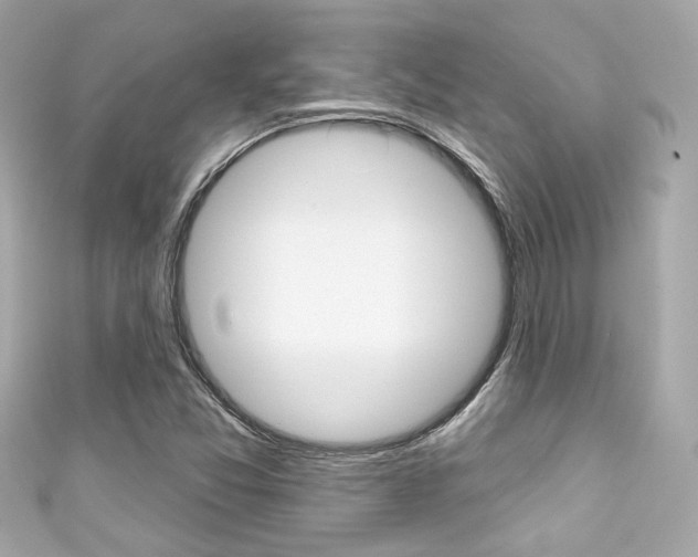 X0000111591357200907161144