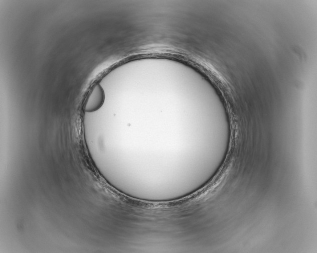 X0000111591358200907161144