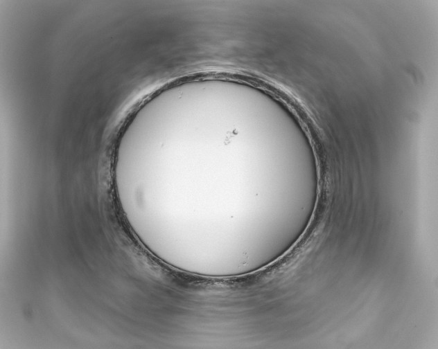 X0000111591359200907161144