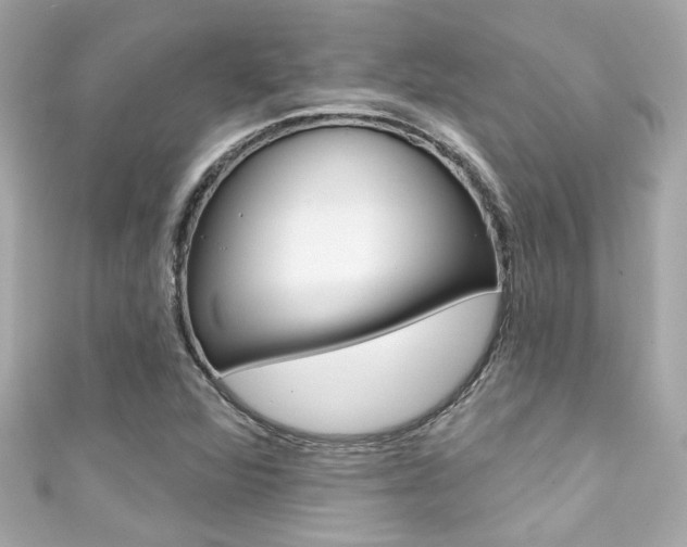 X0000111591360200907161144