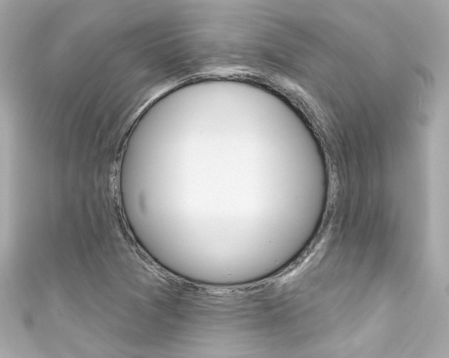 X0000111591361200907161144