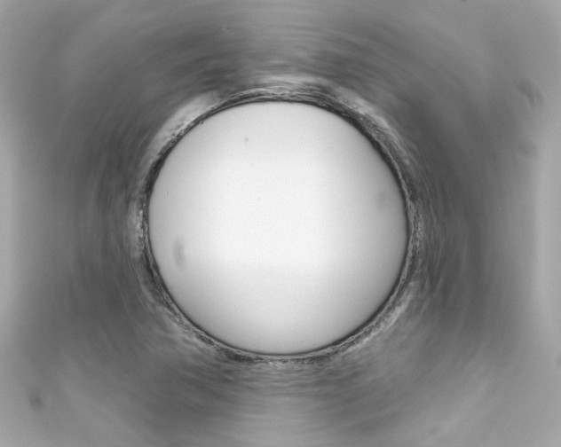 X0000111591362200907161144