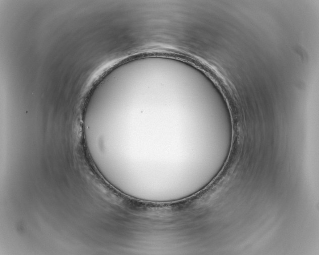 X0000111591363200907161144