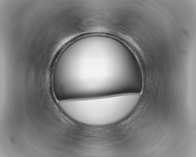 X0000111591364200907161144