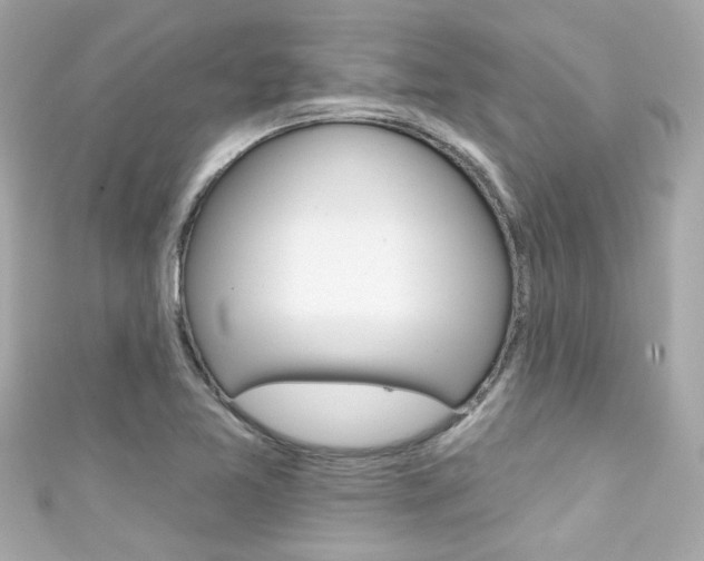 X0000111591365200907161144