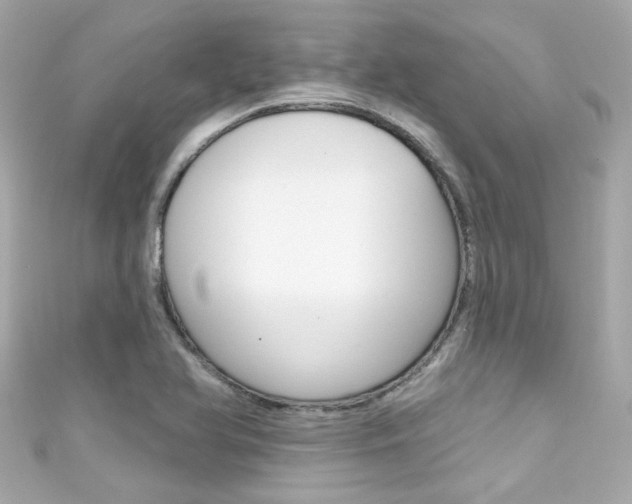 X0000111591366200907161144