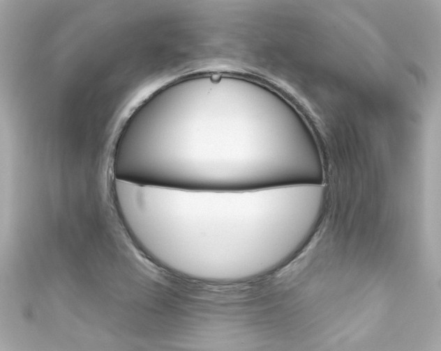 X0000111591367200907161144