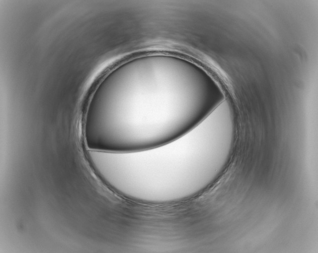 X0000111591368200907161144