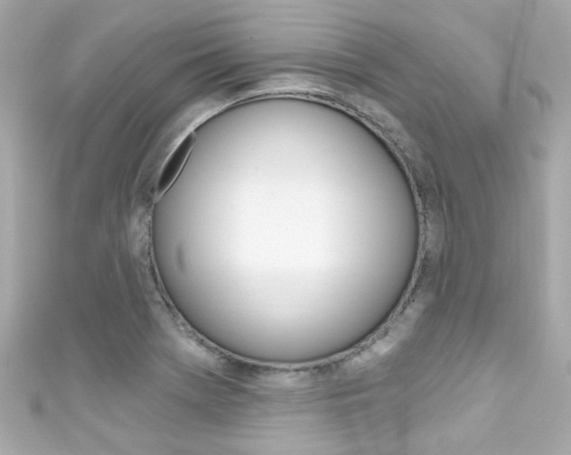 X0000111591369200907161144