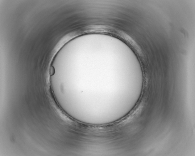 X0000111591370200907161144