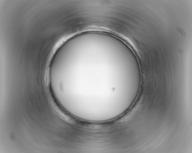 X0000111591371200907161144