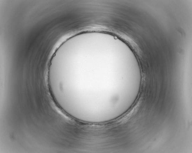 X0000111591374200907161144