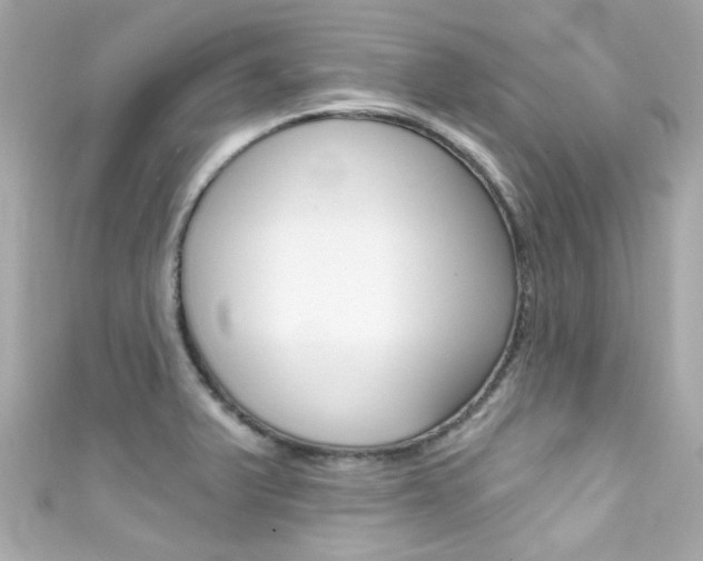 X0000111591375200907161144