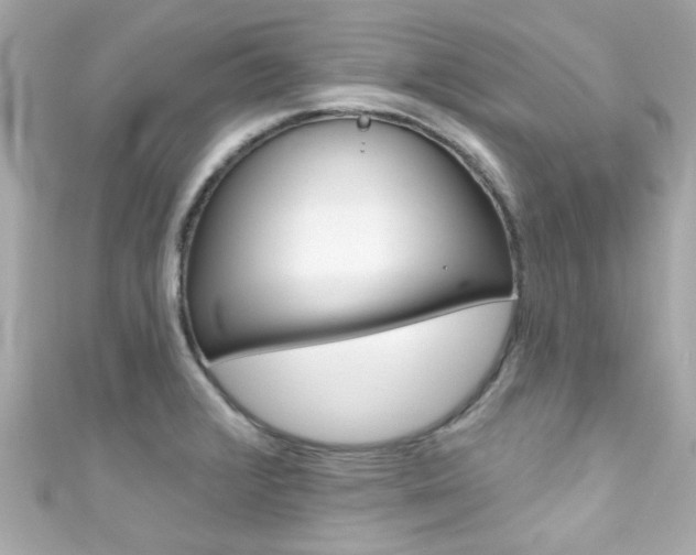 X0000111591376200907161144