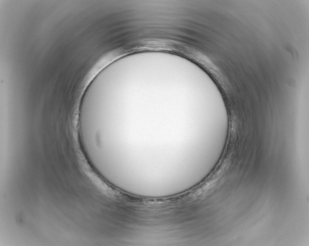 X0000111591378200907161144