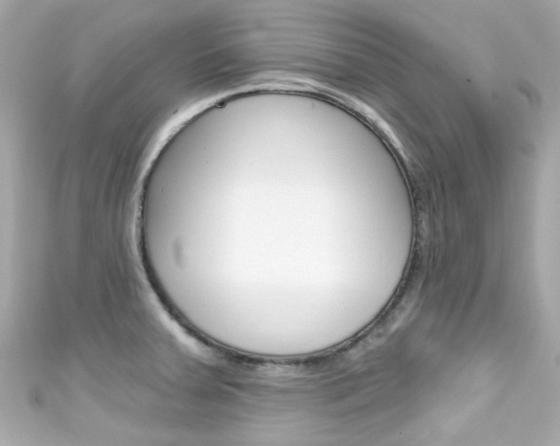 X0000111591379200907161144