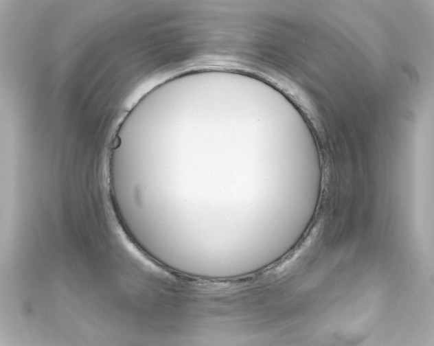 X0000111591382200907161144