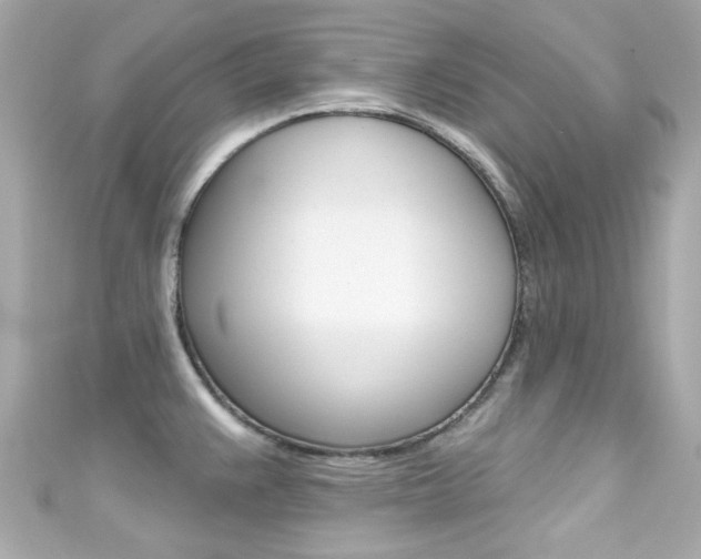 X0000111591383200907161144