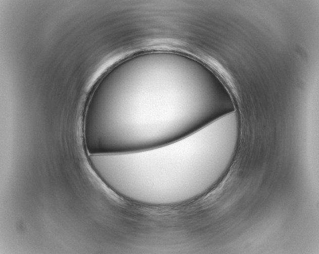 X0000111591384200907161144