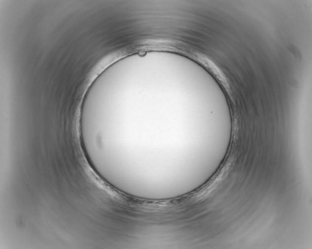 X0000111591386200907161144