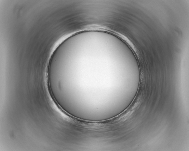 X0000111591387200907161144