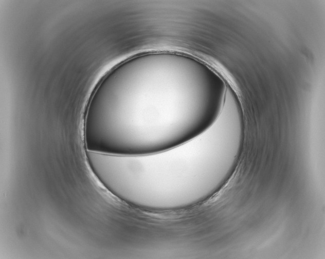 X0000111591388200907161144