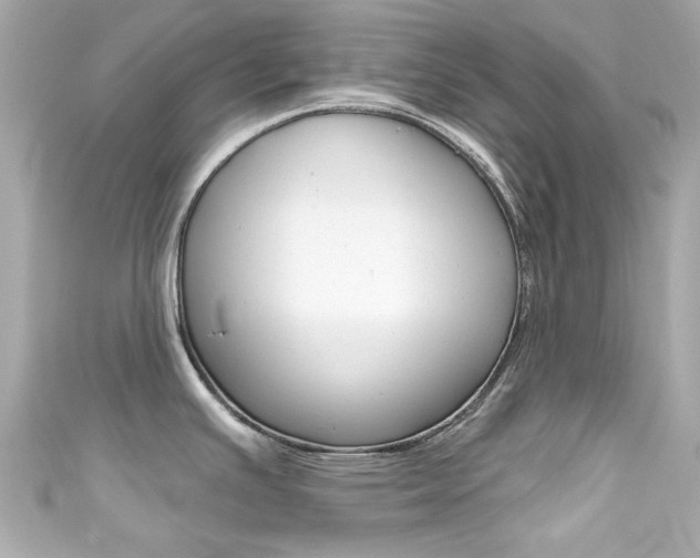X0000111591391200907161144