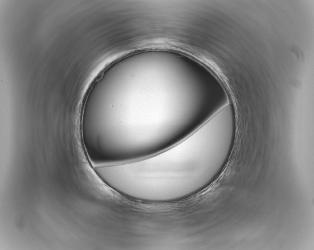 X0000111591392200907161144