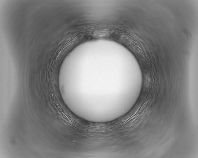 X0000111591393200907161143