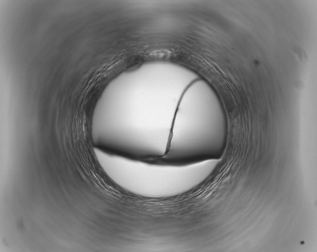 X0000111591394200907161143