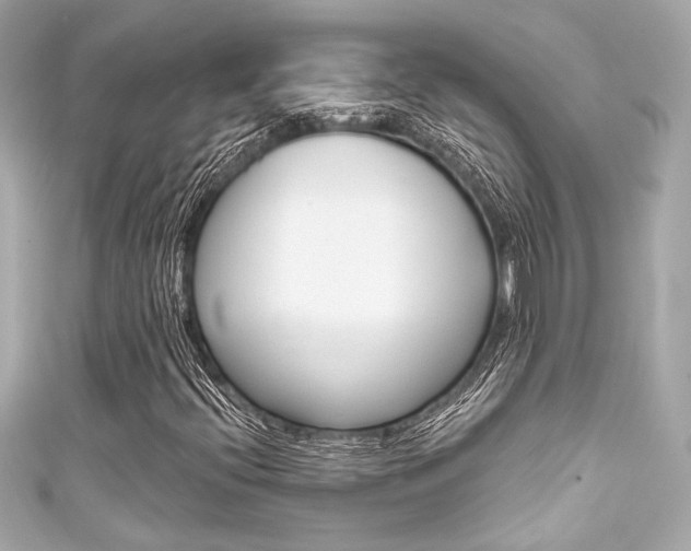 X0000111591396200907161143