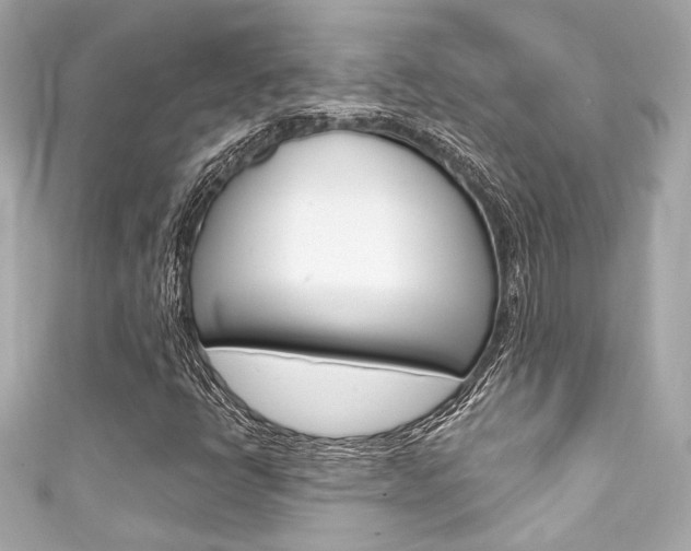 X0000111591398200907161143