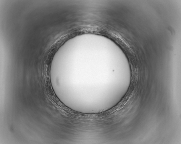 X0000111591399200907161143