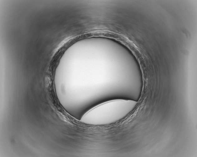 X0000111591400200907161143