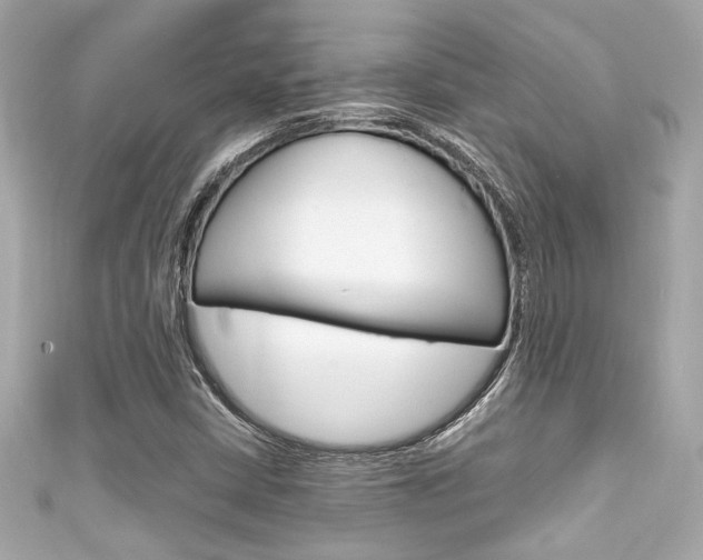 X0000111591402200907161143