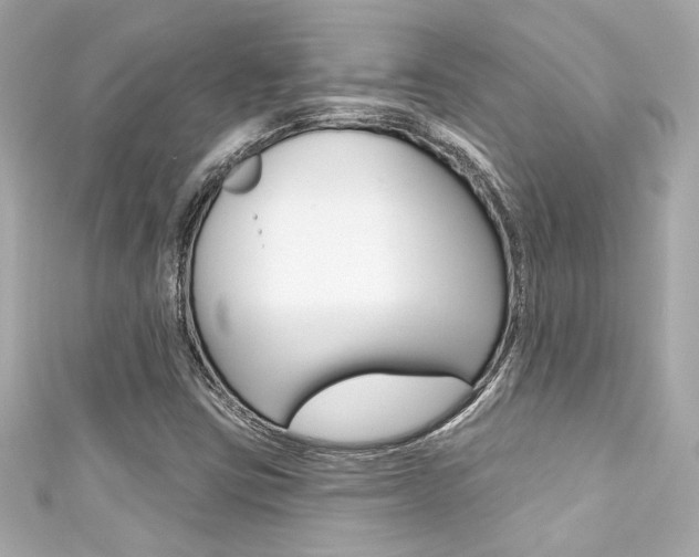 X0000111591403200907161143