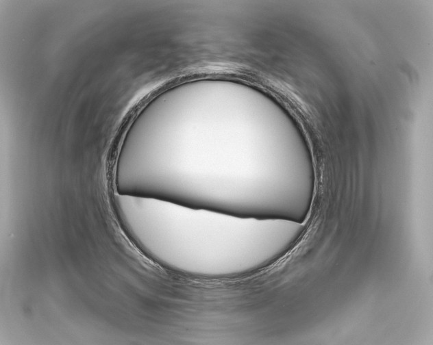 X0000111591404200907161143