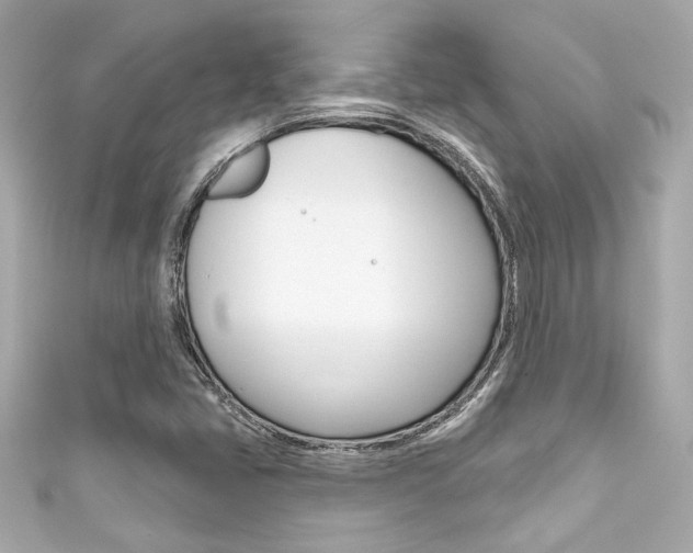X0000111591405200907161144