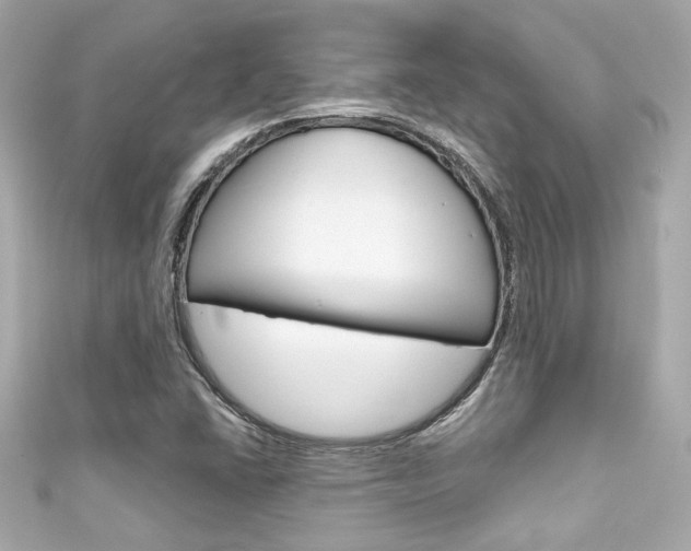 X0000111591406200907161144