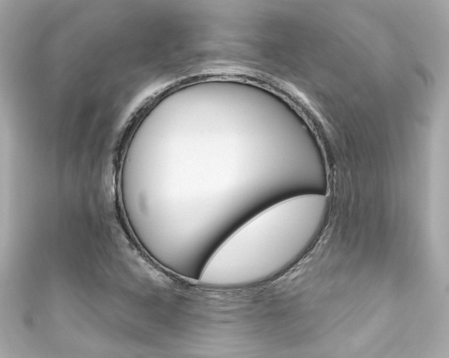 X0000111591408200907161144
